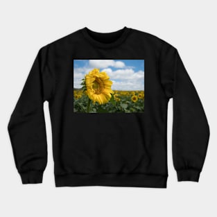 The Sunflower Field Crewneck Sweatshirt